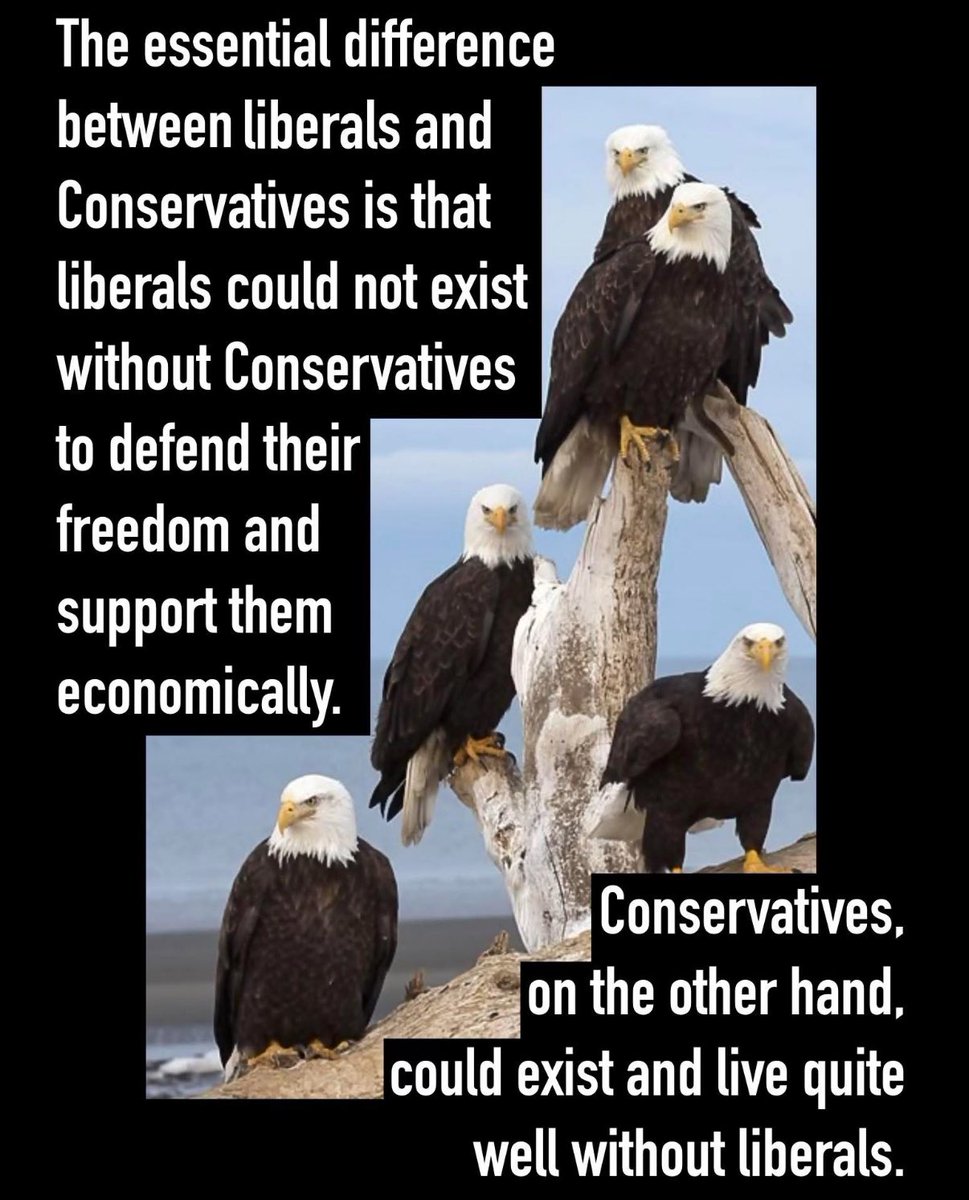 Cloyd Rivers Pics tweet media