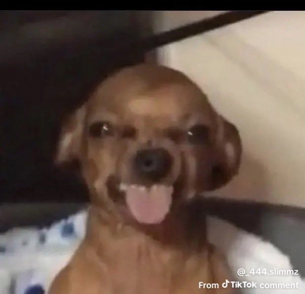 Meilluer.Mfc tweet media