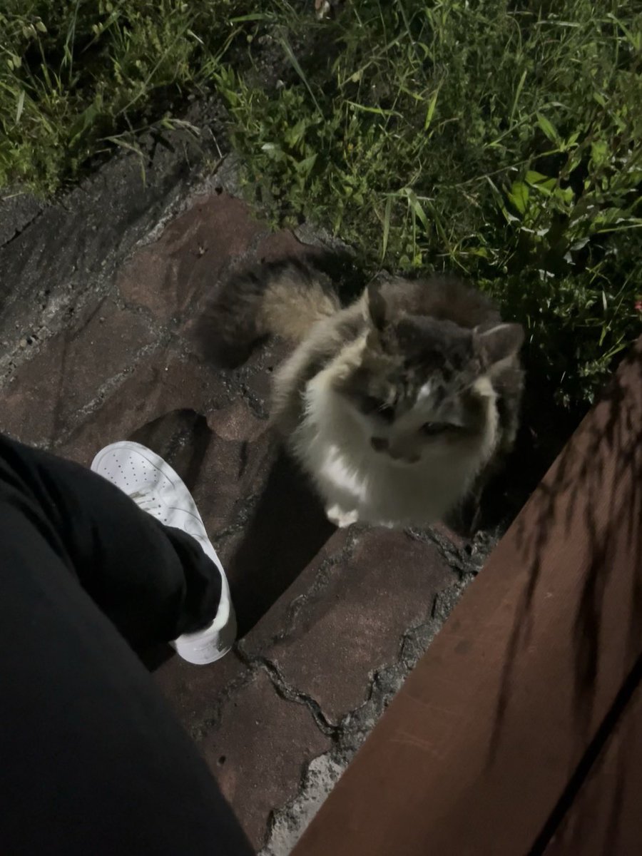 ももきゅ〜と！！🩸 tweet media