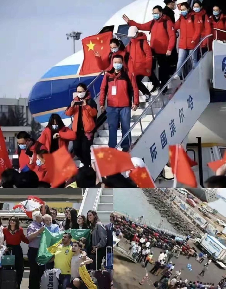 夏洛🇨🇳 tweet media