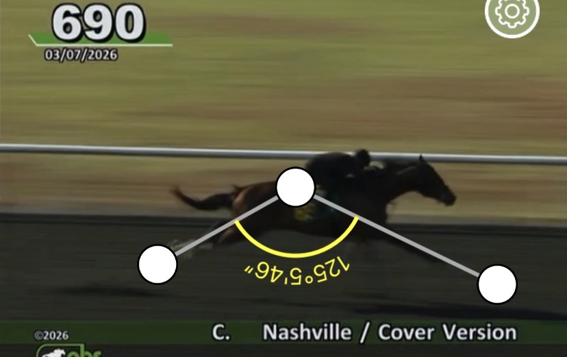 Save Horse Racing tweet media