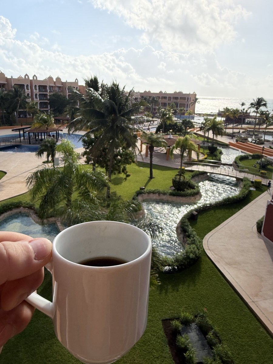 🫡GM🇲🇽 back to Mexico. ☕️ The coffee is good here and the cartels are keeping all the tourists away. Life is good 😊