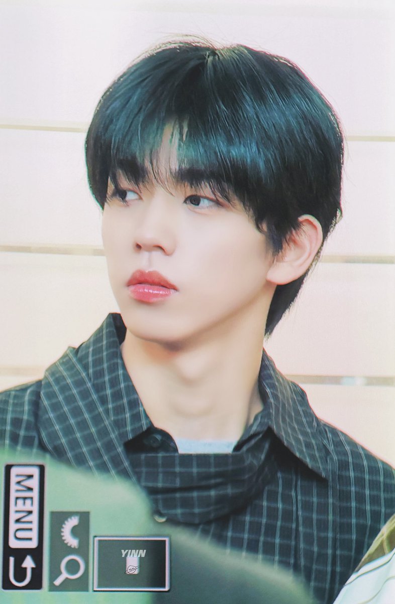 돌고래 해민단 tweet media