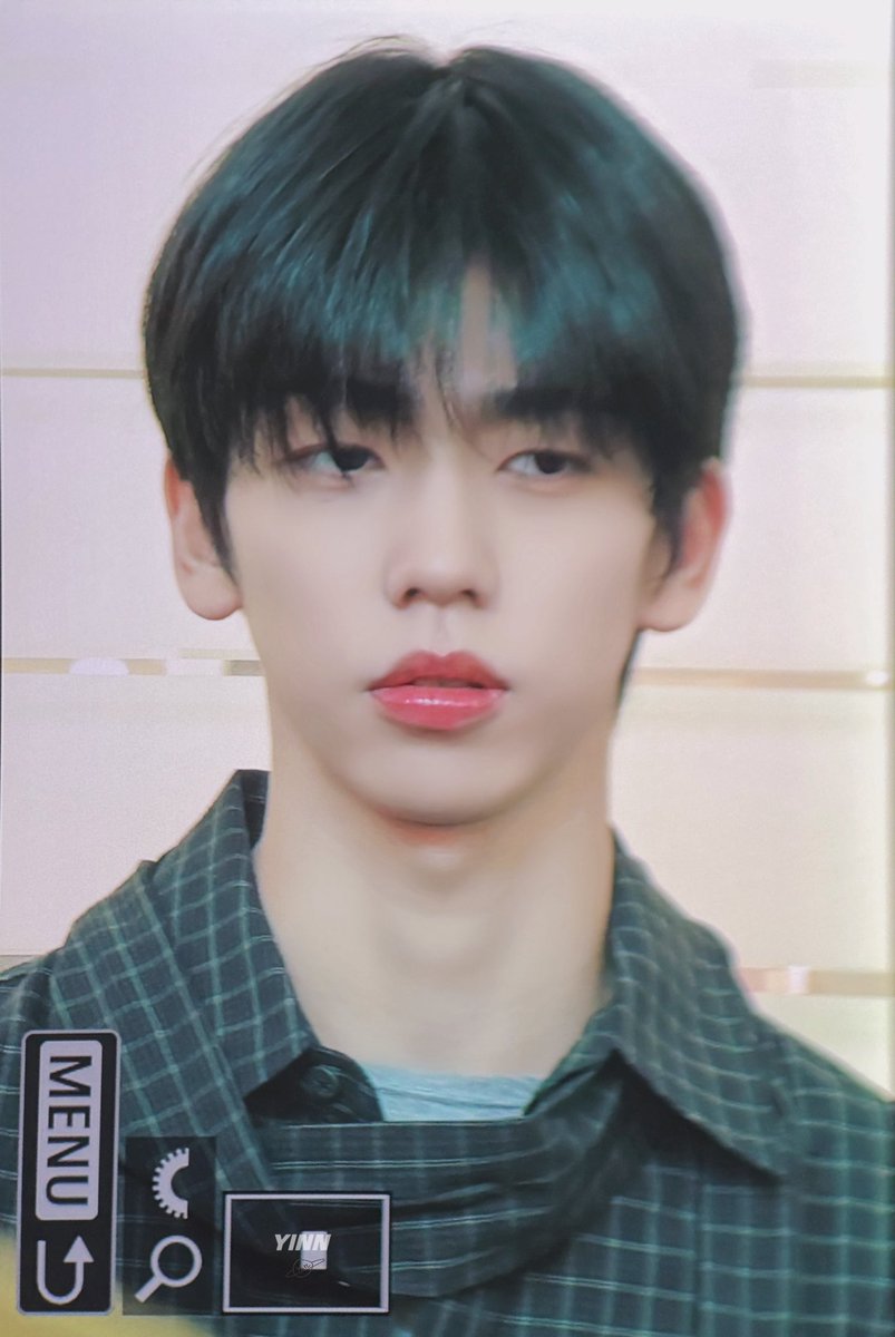 돌고래 해민단 tweet media
