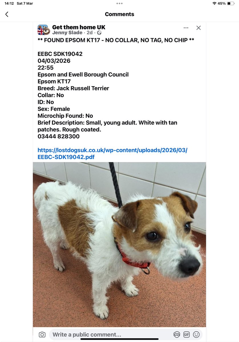 #founddog please share
