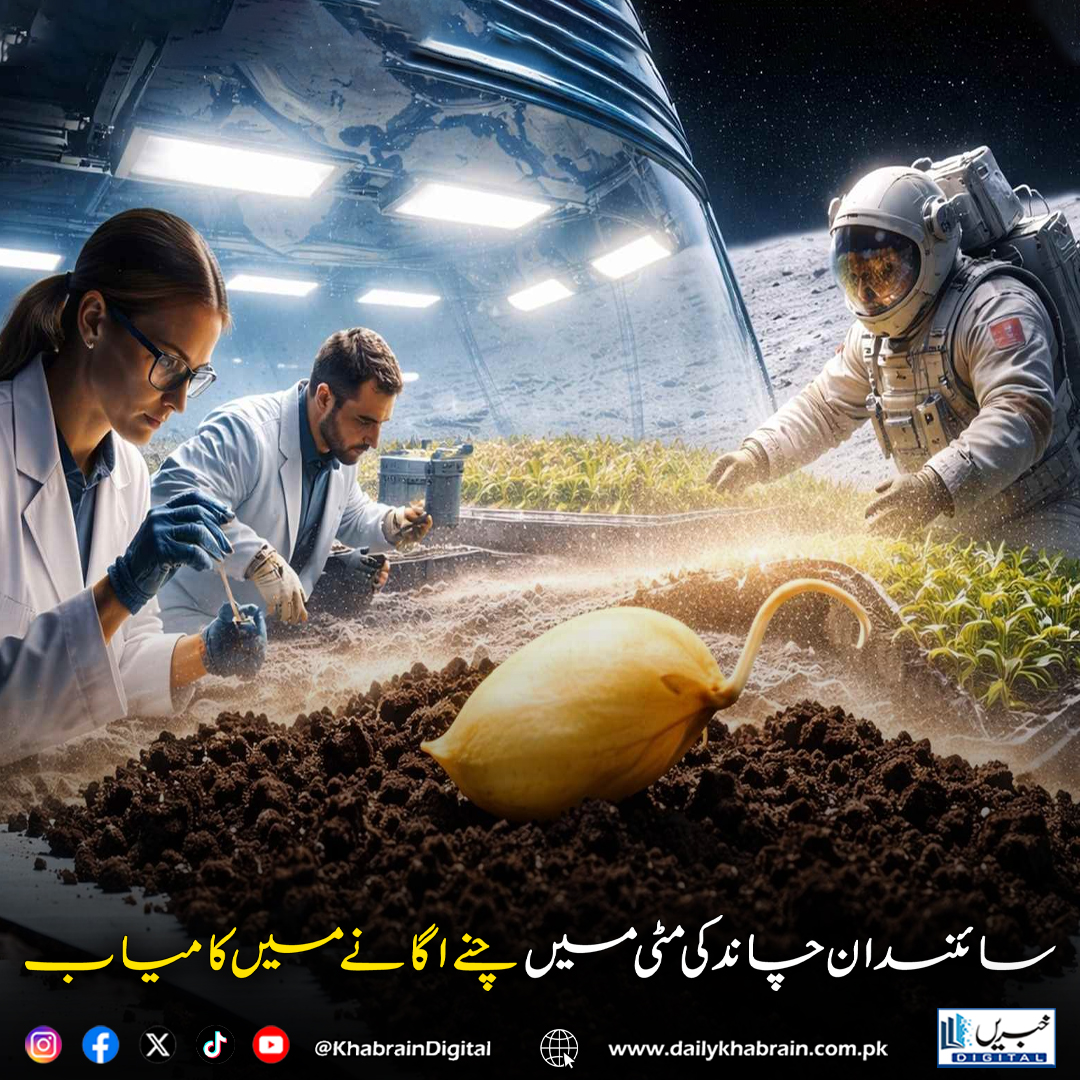 daily_khabrain's tweet image. سائنسدان چاند کی مٹی میں چنے اگانے میں کامیاب

dailykhabrain.com.pk/2026/03/07/490…
Tap on the link to read full story 👆
#SpaceResearch #LunarSoil #Chickpea #SpaceFarming #MoonMission #SpaceScience  #ScientificBreakthrough #FutureOfFarming 🌕🚀 
#khabraindigital