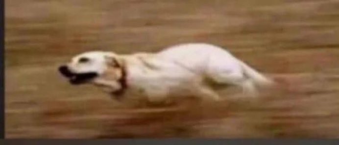 Me running to your page to engage you once I see you engaged any of my posts: