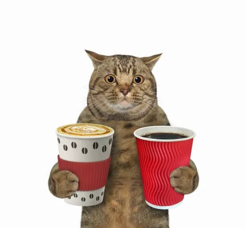 Kriptologist tweet media