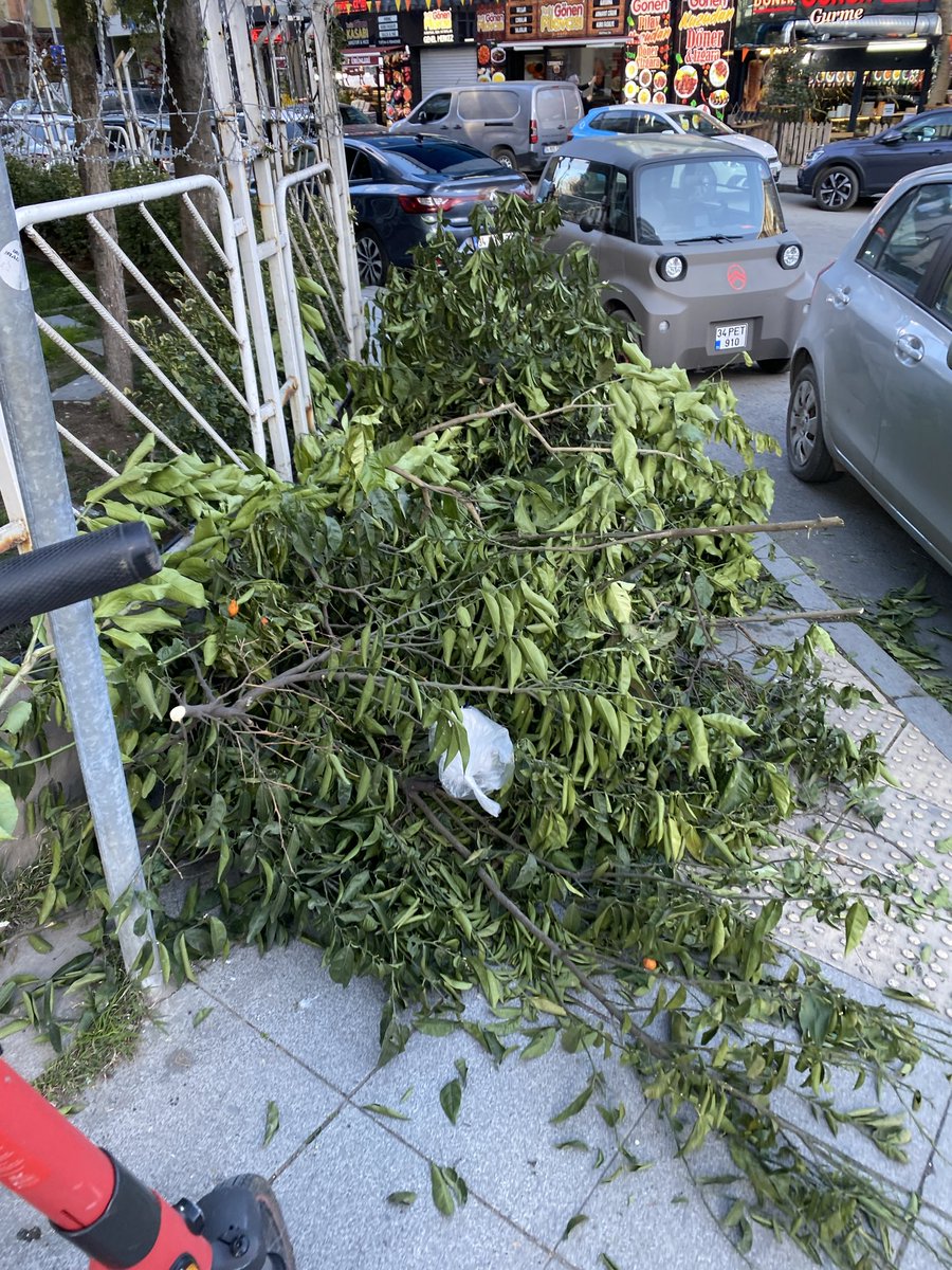 Aksoyyusuf28's tweet photo. @atasehirbld burası kayısı sokak ile eski çiftlik yolu caddesinin kesiştiği yer. Garanti sitesinin önü. 2 gündür burada duruyor. Belediye olarak temizlemeyi düşünüyor musunuz? Kaldırımdan yürüyemiyoruz. https://t.co/LgpXvjH7AY