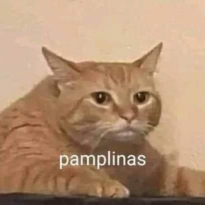 Emmamerta tweet media