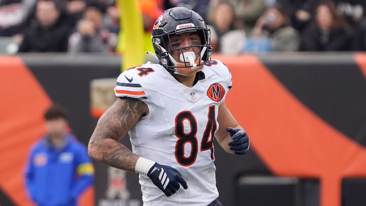 𝑨𝒏𝒕 tweet media