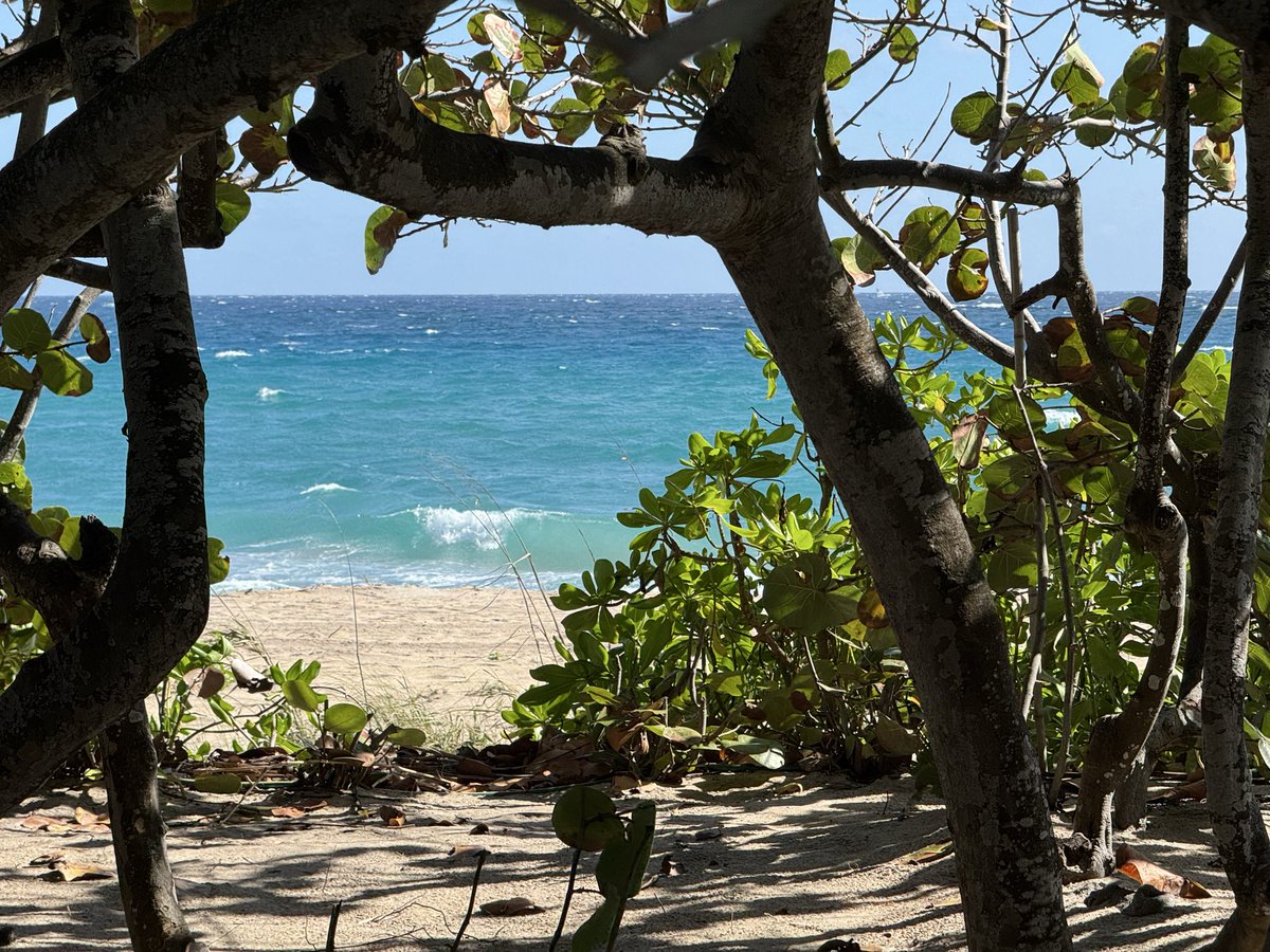 nancistern's tweet photo. Happy Saturday South Florida!! https://t.co/qM2BfntZew