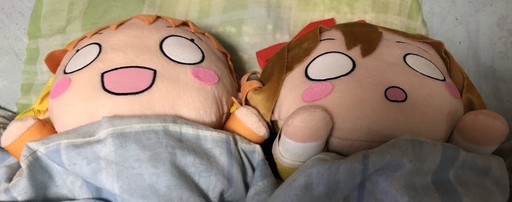 そろそろ寝ます。
🍊「おやすみ😘なさいなのだー」
🌼「おやすみ🌙なさい」
#寝そべりタイム
