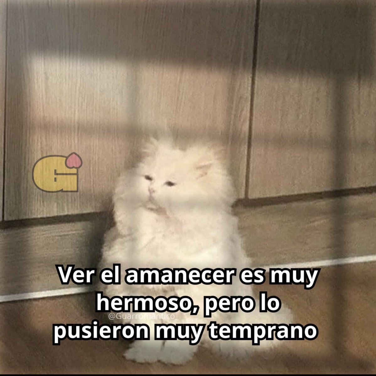 Guarromantico_'s tweet photo. Asies. https://t.co/IUl1YiPKRU