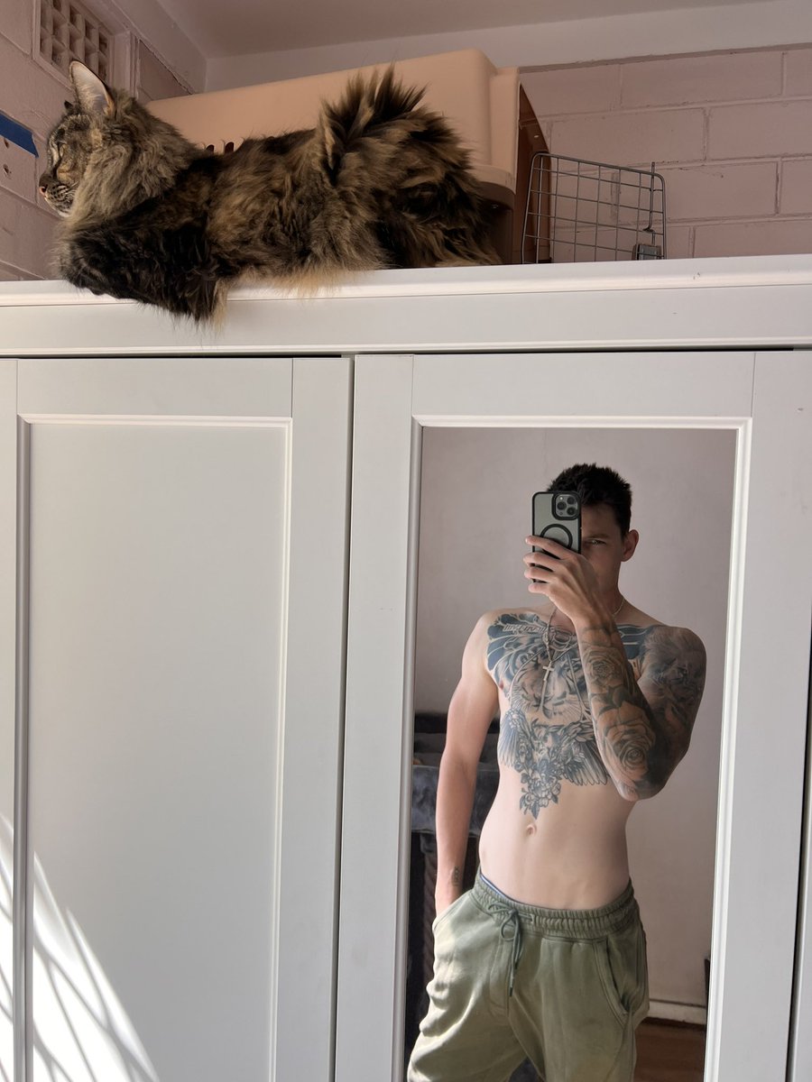 MidnightIronx's tweet photo. https://t.co/NgyghK8YqY
