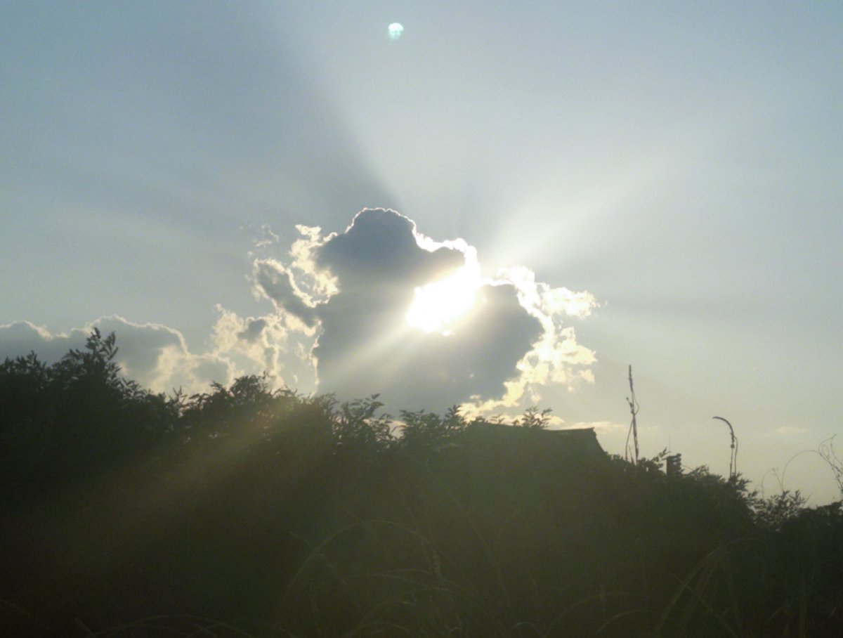 ⋆ ☄︎. ·˚ * ꙳ tweet media