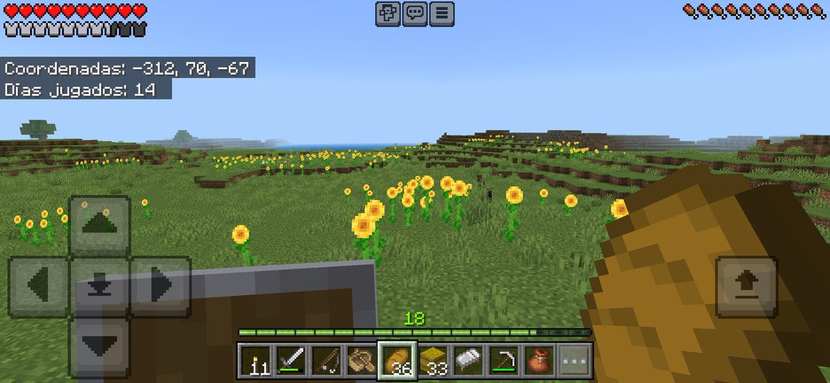 yo d novia: amor t dedico este campo d girasoles q encontré en minecraft