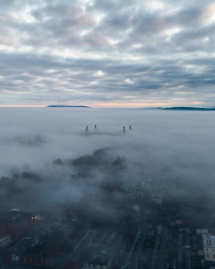 Blog Preston tweet media