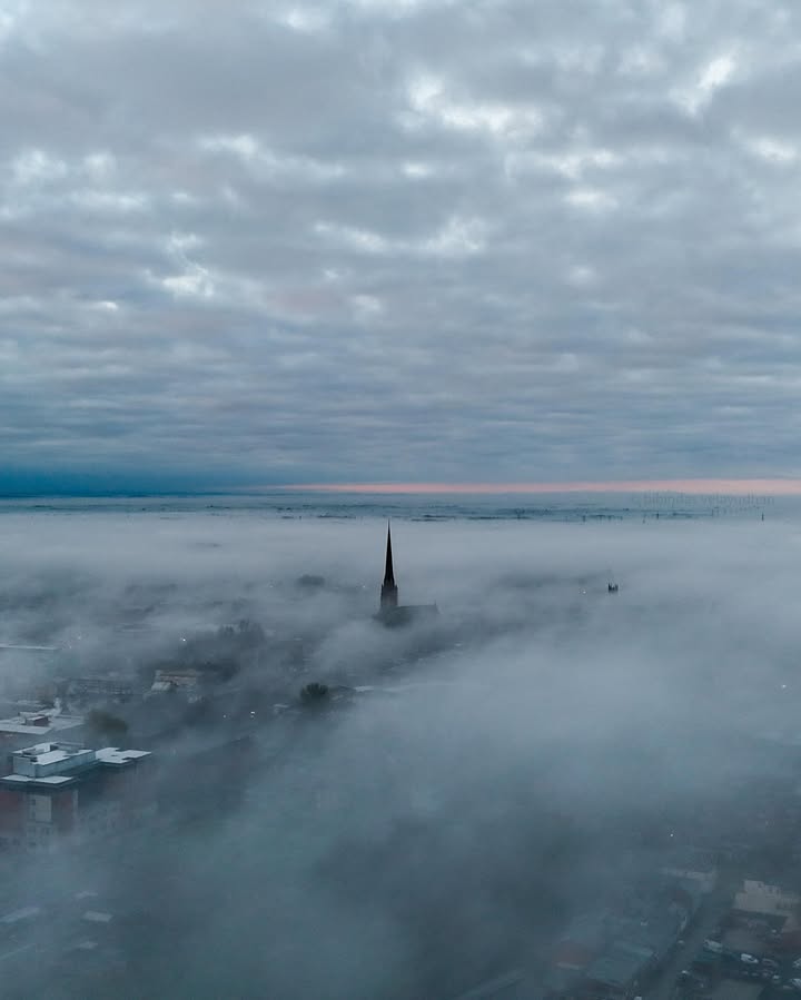 Blog Preston tweet media