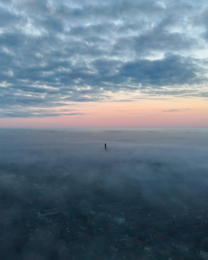 Blog Preston tweet media