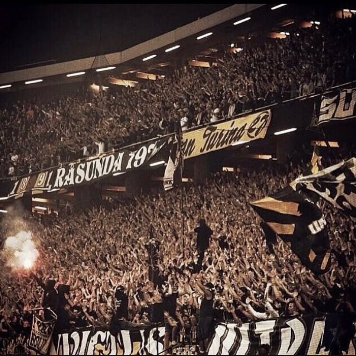 KapybaraGnaget 🐀 tweet media