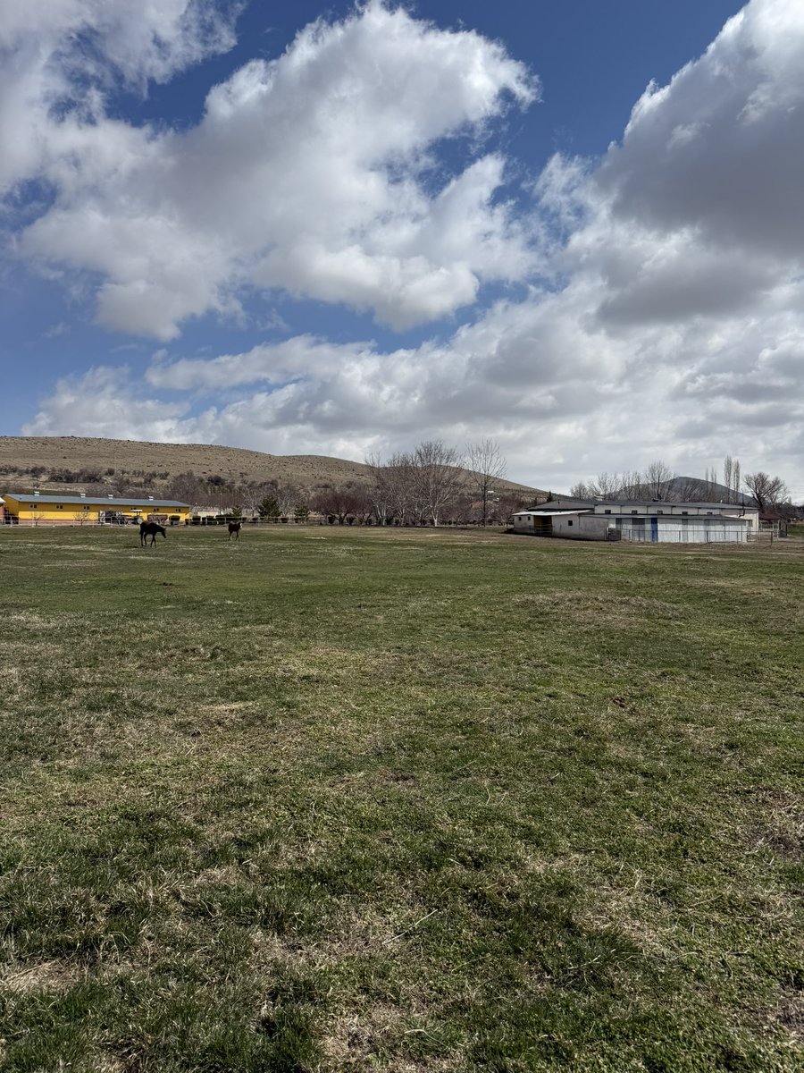 Fatma İPEK tweet media