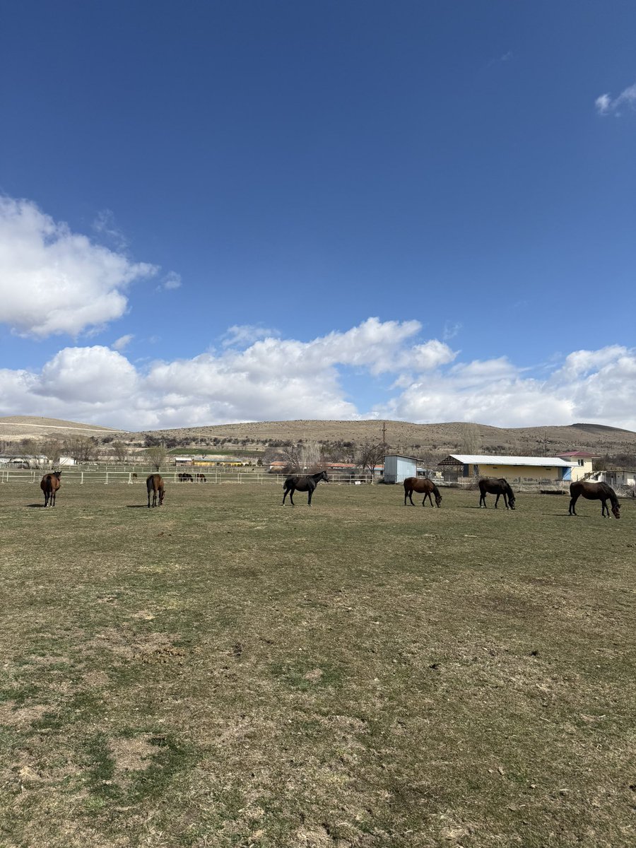 Fatma İPEK tweet media