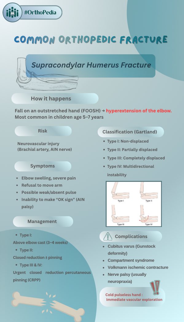 الأندية التخصصية الطبية tweet media