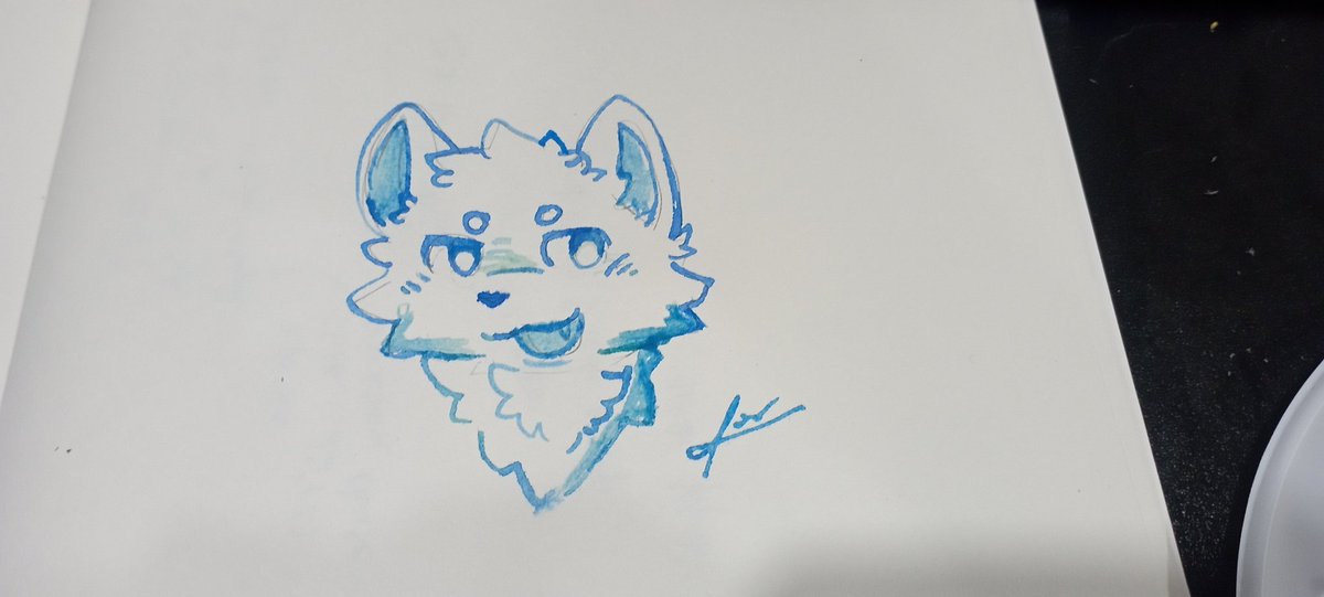 Acrtic_Fox's tweet photo. Oh https://t.co/hzXs6H1RQK