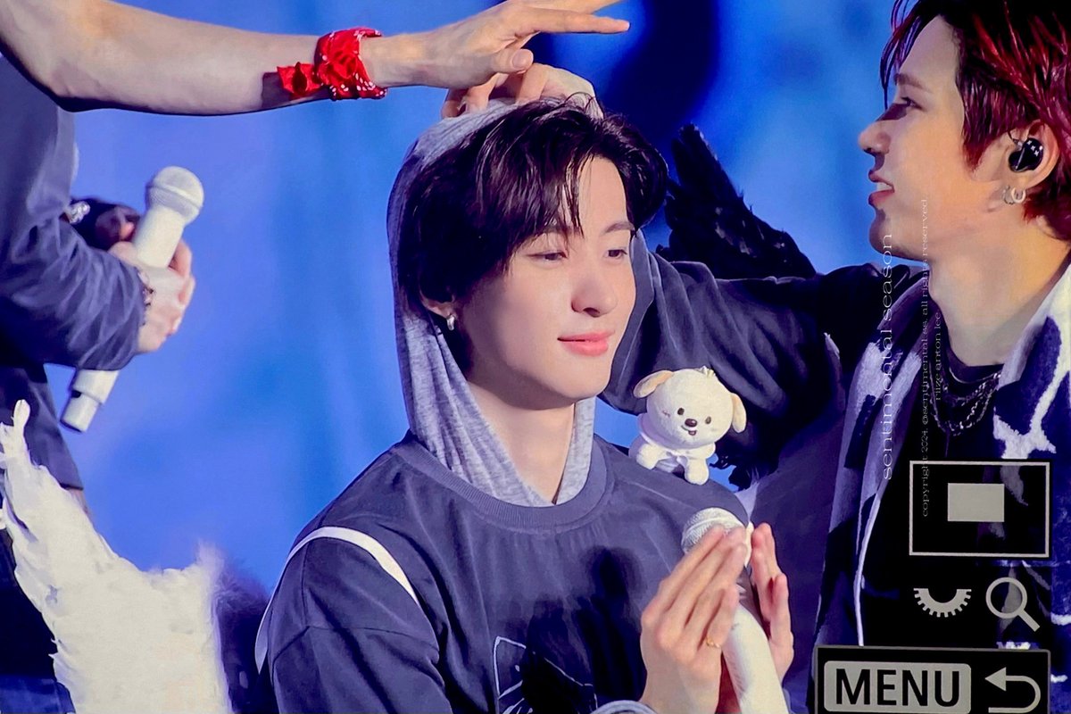 sentimental season tweet media