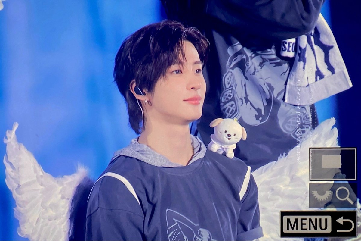 sentimental season tweet media