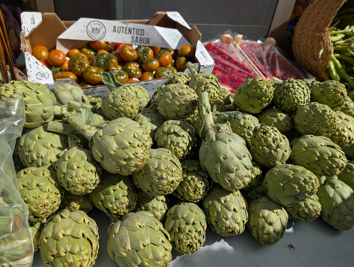 🧑‍🌾 Asistimos al XI Congreso Nacional de la Alcachofa en Almoradí.

🚜 Tradición, trabajo, esfuerzo y calidad frente a las imposiciones ideológicas de Bruselas que castigan a nuestro campo.