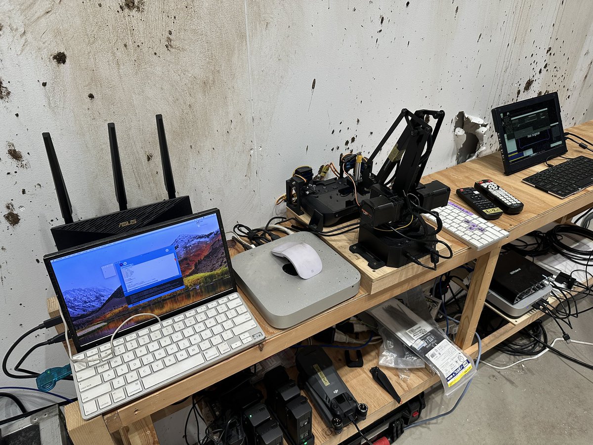 NIINOMI / NEORT tweet media