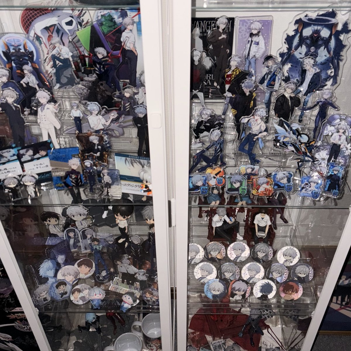 およよ🐾 tweet media