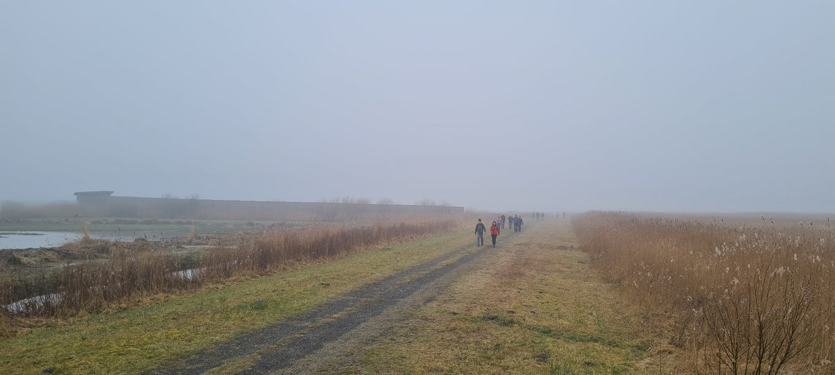 OebleBouma's tweet photo. Vandaag een #DBOtsje van 40 km gedaan. Van #Lauwersoog naar #Zoutkamp, #Leens, #Nijkerk, #Ulrum, en #Vierhuizen. 
Mooie route. 
Met dank aan de @FLAL1973 voor de organisatie. 
 En.. mooi aanloopje voor de #grotevoetsurveillance  in #Nijmegen. @4daagsenijmegen https://t.co/BHMy4azwTg