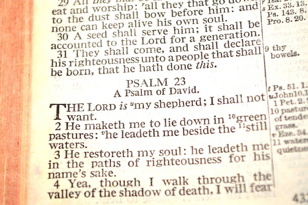 Paul J. Pastor tweet media