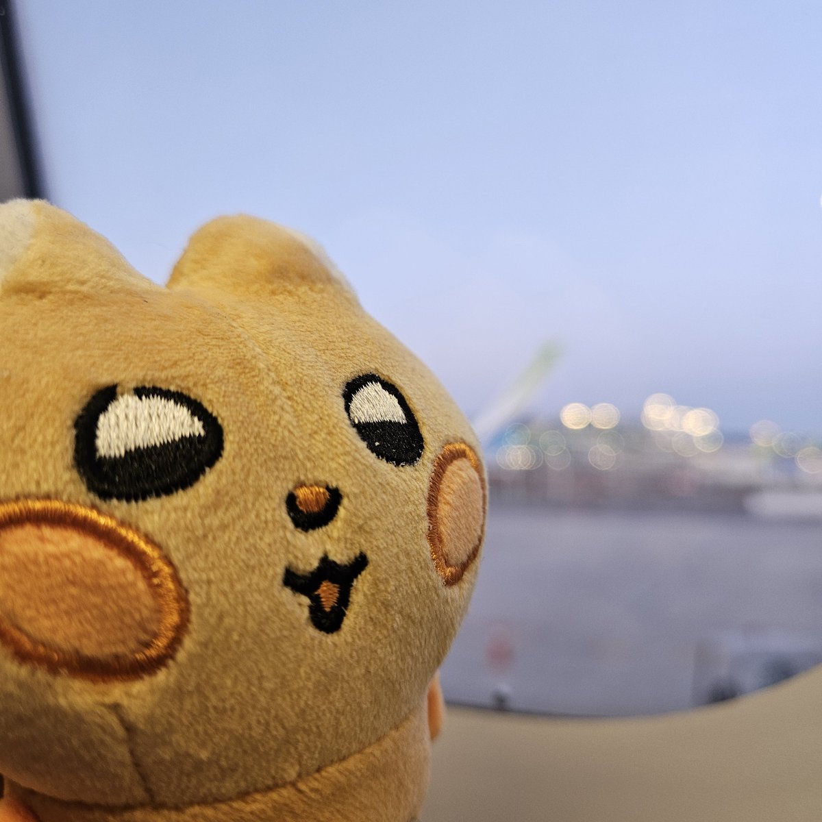 zzo_taer0's tweet photo. 룽쥐랑 일본에 놀러왓서요 https://t.co/MRulVQn7Io