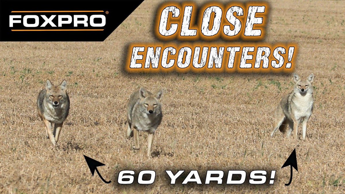 FOXPRO Inc. tweet media