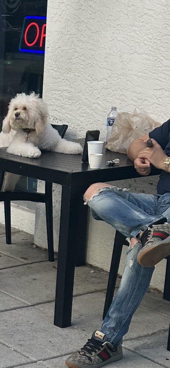 Turnt Up Dylan (DKS) 💀👑 tweet media