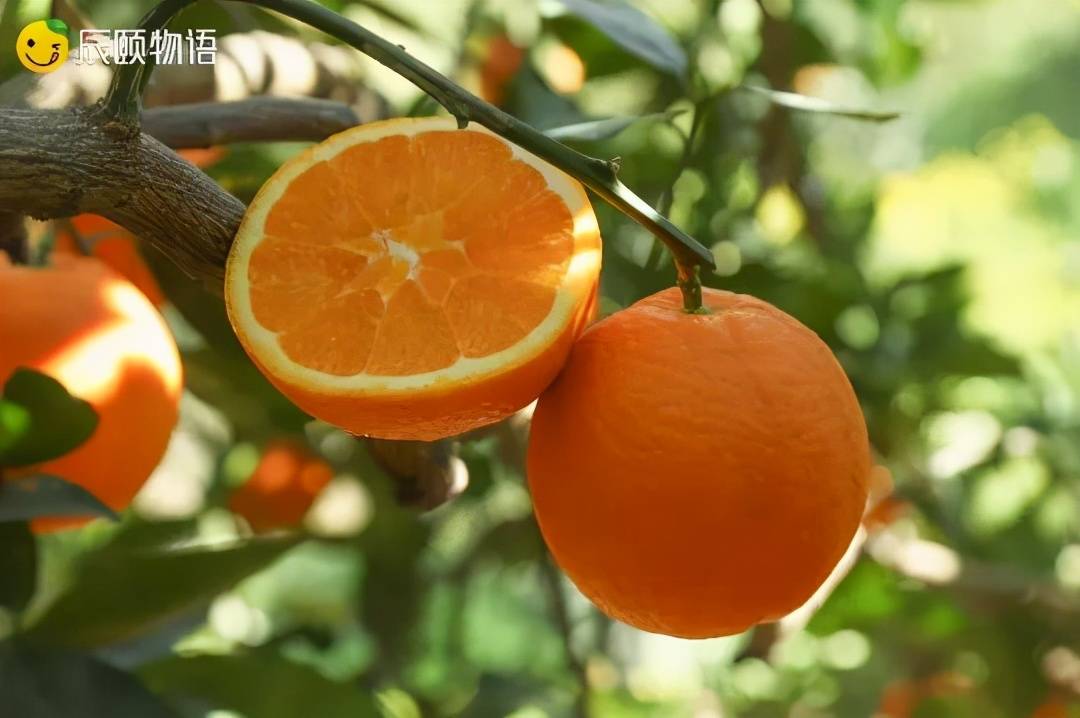 michael osewe mango tweet media