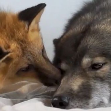 jeongchan pics! tweet media