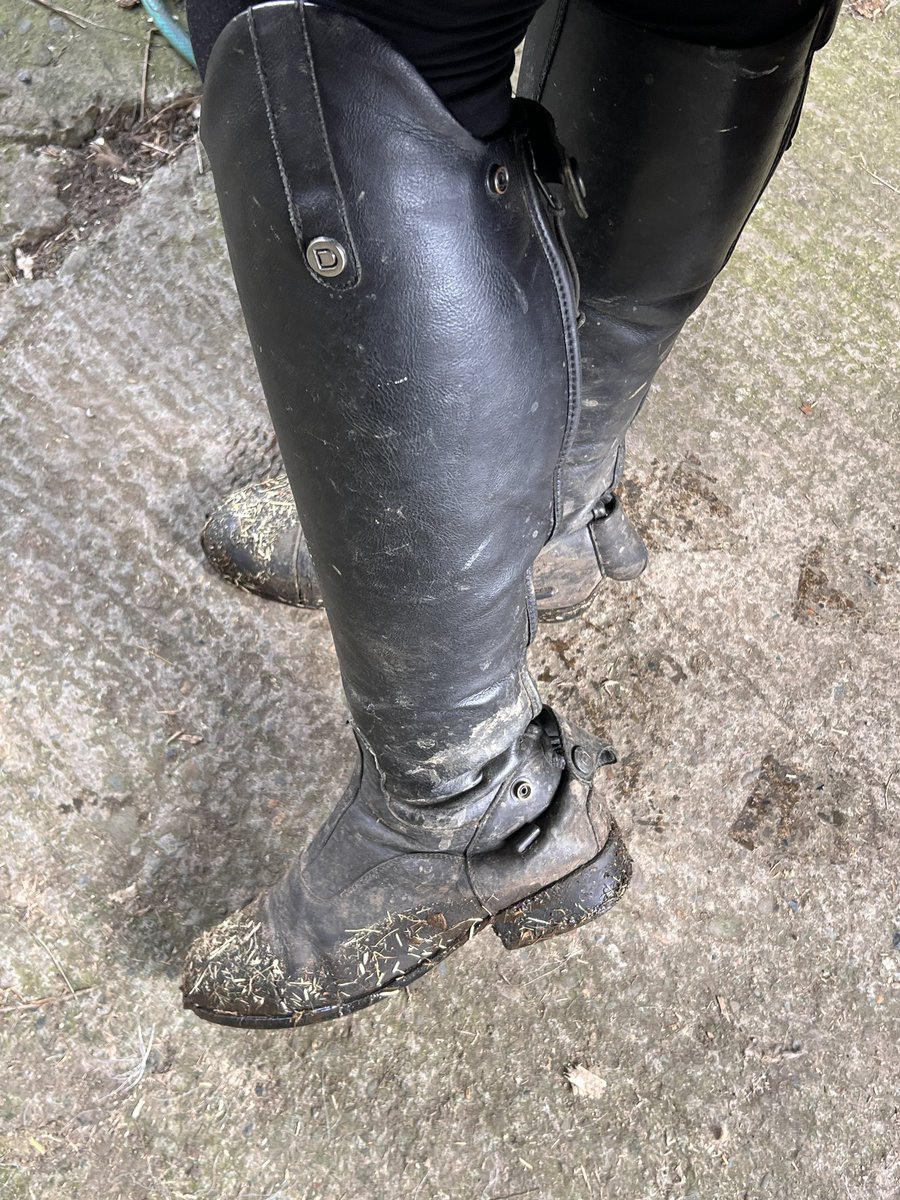 EquiBoots's tweet photo. Today’s fresh money makers 

RT if you’d love to clean them for me

dirty riding boots equinegoddessk equine stable sub findomme finD https://t.co/z15OhZYYvE