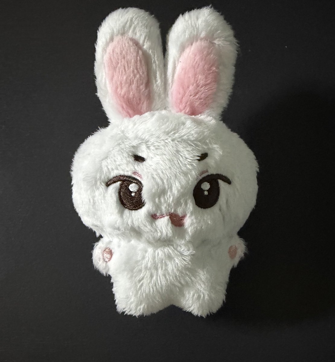 rabbitnose1004's tweet photo. 인형 손질 방법
혹시 필요하신 분 있을까봐 적어놔요🥹
준비물: 치간칫솔, 쪽가위, 물티슈
(가위는 딱히 종류 상관 없는데 치간칫솔은 필수!)
0. 물티슈로 인형을 닦아줍니다(털날림방지)
1. 치간칫솔로 표시해놓은 방향 따라 빗어줍니다
2. 쪽가위를 가로로 두고 눈썹 등에 삐져나온 털을 잘라줍니다 https://t.co/mVhyNwjzzR