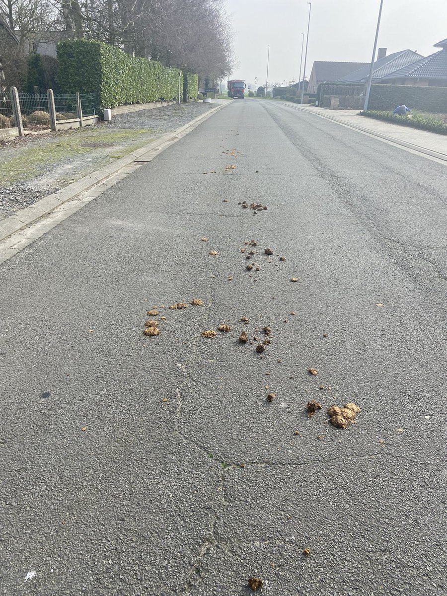 Ward Markey tweet media