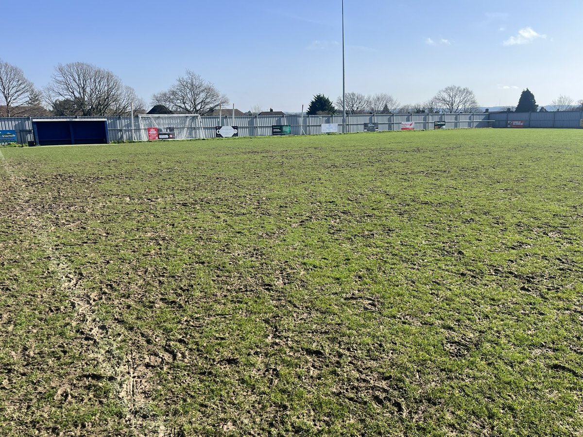 nick collick tweet media