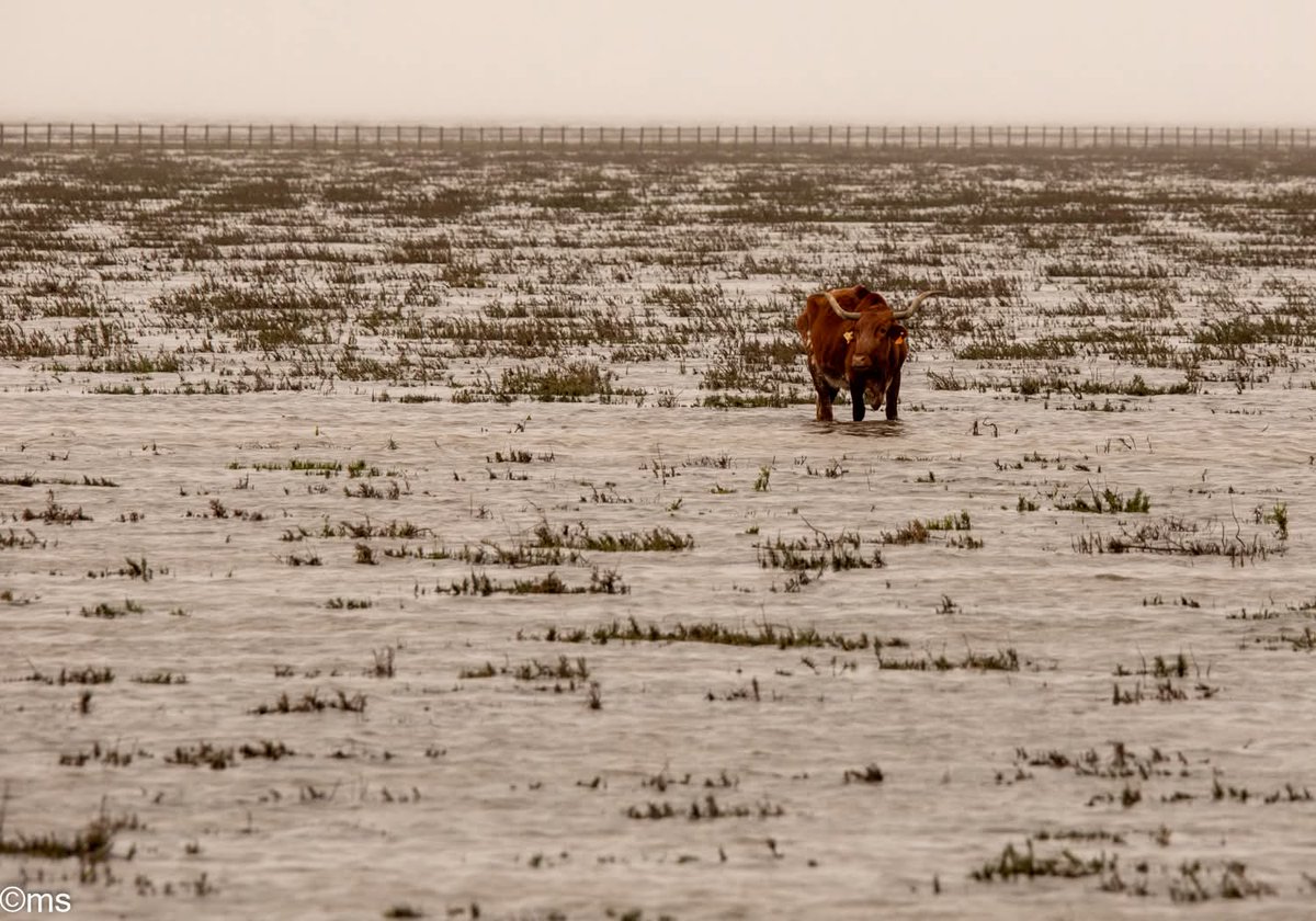 Antonio Barbarroja tweet media