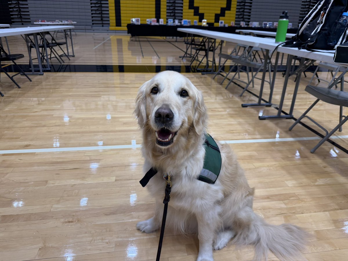 Louis Lee tweet media