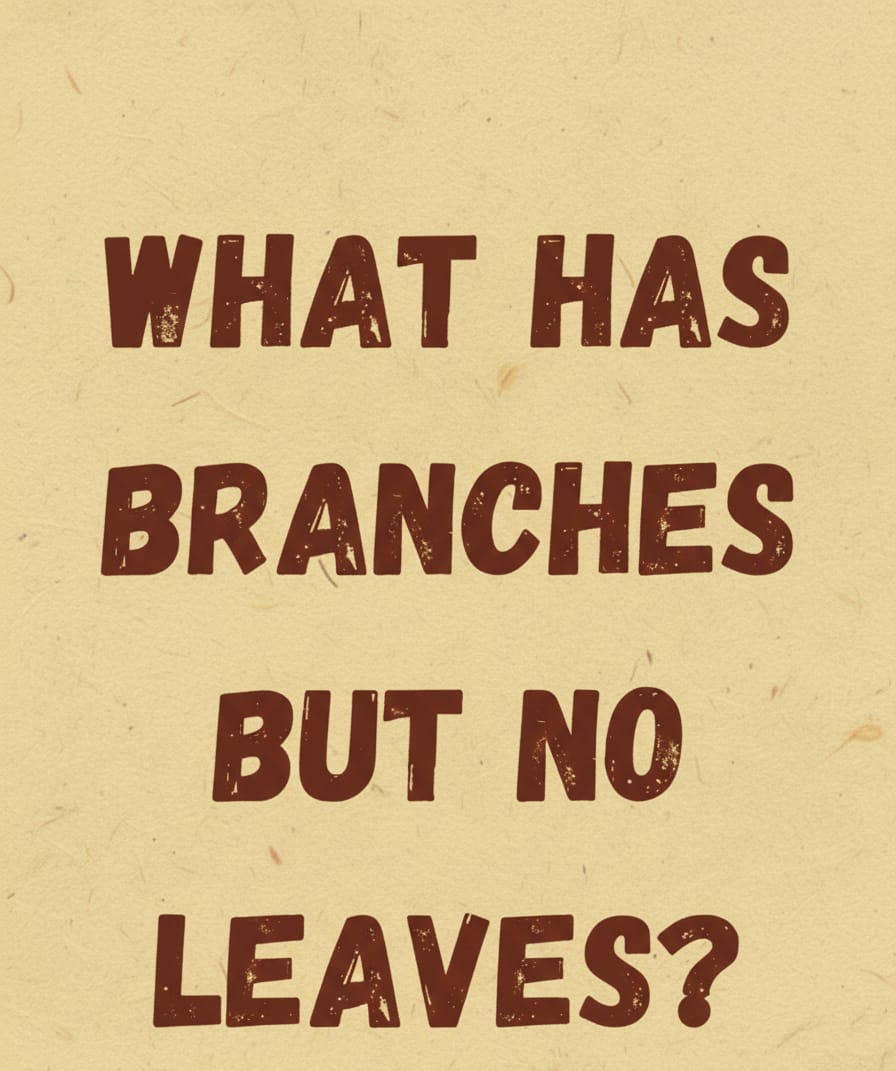 Saqib Banbhan tweet media