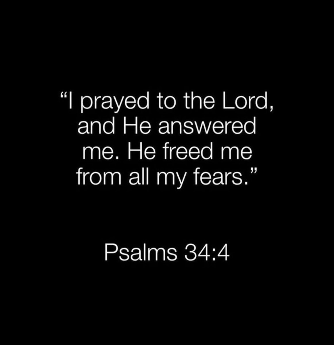 Holy Bible (@holy__bible1) on Twitter photo 