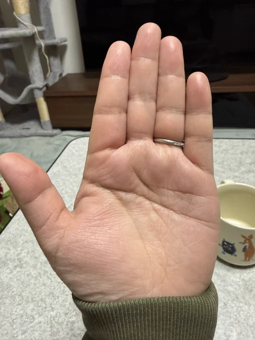 3月8日が誕生日の蒼巳生姜です!🐼⚓
おめでとう自分!37歳!去年間違えて遂に37歳って言ったけどもう一年経つのか…37(みんな)見てねの37歳!
描き下ろしが何も無いので有識者さん私の手相見てください🙏
落書きアイリーンちゃんも置いておきます🎀 